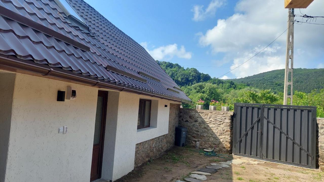 Casa Noua Villa Sasca Montana Exterior photo